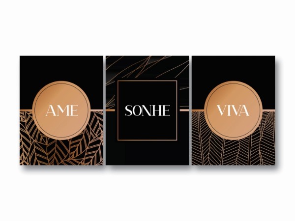 Ame Sonhe e Viva_Trio33