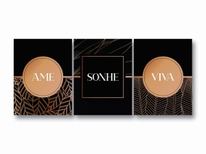 Ame Sonhe e Viva_Trio33