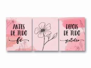 Antes e Depois Rosa_Trio41