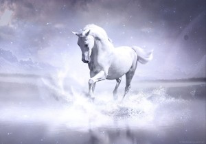 Cavalo Branco_AIS 36