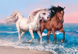 Cavalos na Praia_AIS 26